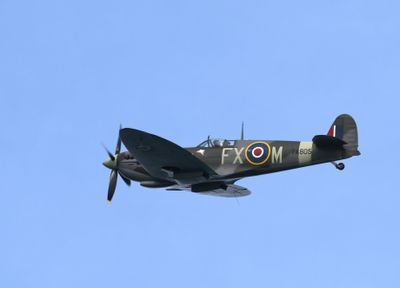 Z81_4767 - T.JPG