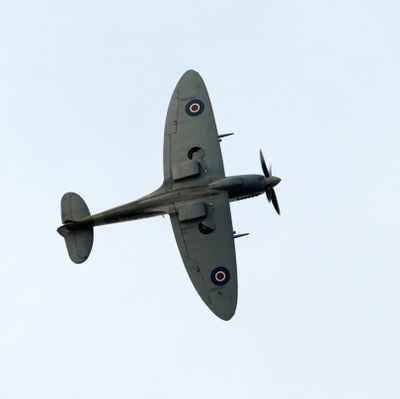 Z81_4930 - T.JPG