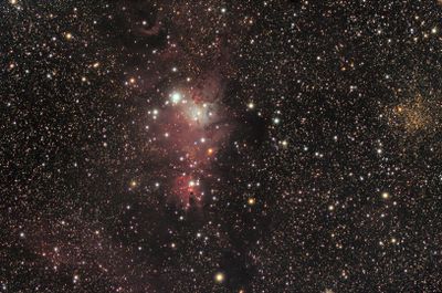 NGC2264 Cone Nebula - Vespera II