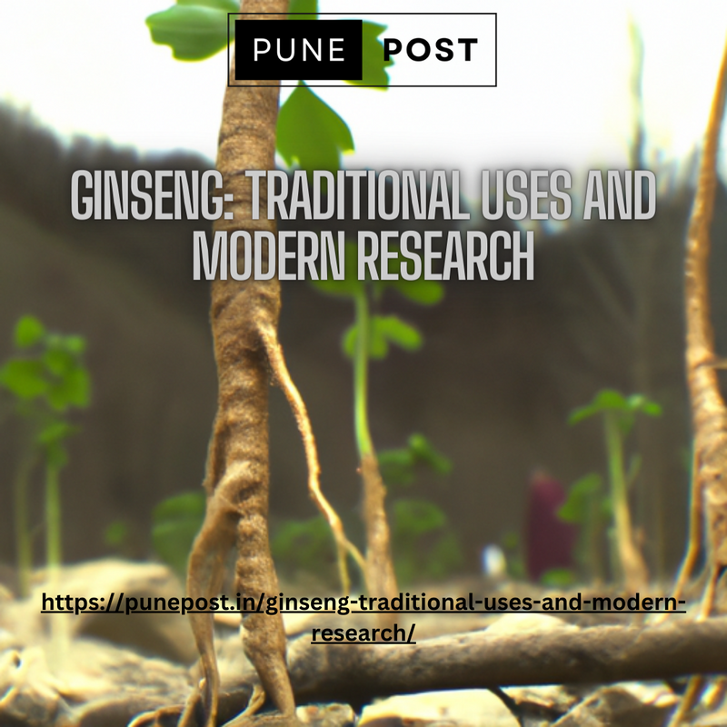 Ginseng: Traditional uses and modern research - 1