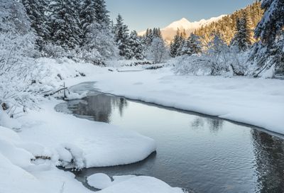 peterson creek 2248-.jpg