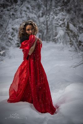 december_2024