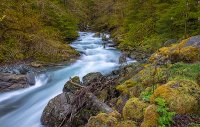 may_2025