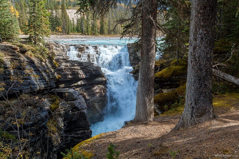 Athabasca Falls