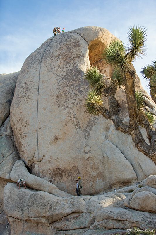 Climbing the Rocks in Joshua Tree