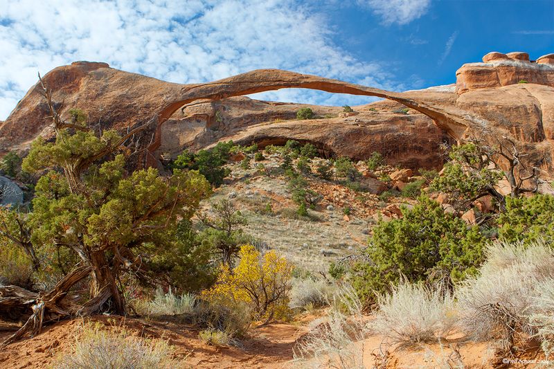 Arches National Park