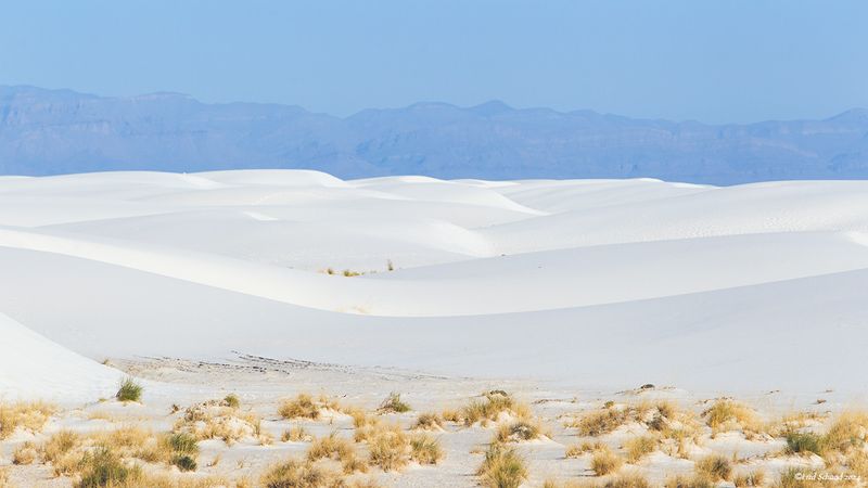 New Mexico