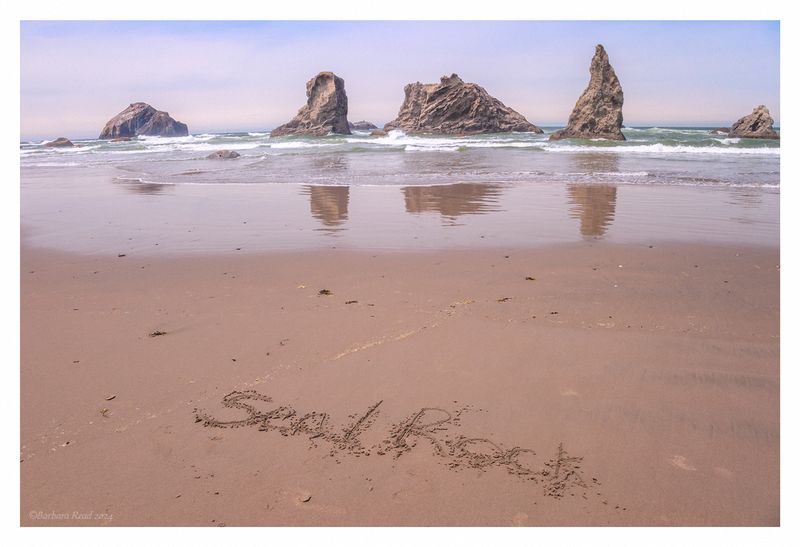 Could Be Seal Rock