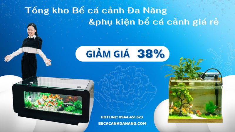 Tổng kho Bể cá cảnh Đa Năng & Phụ kiện bể cá