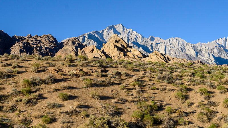 Mount Whitney