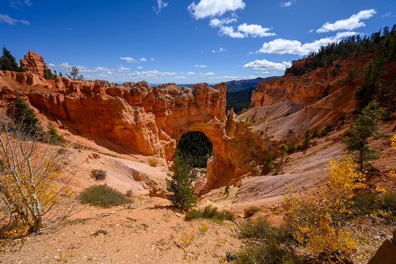 Natural Bridge stop