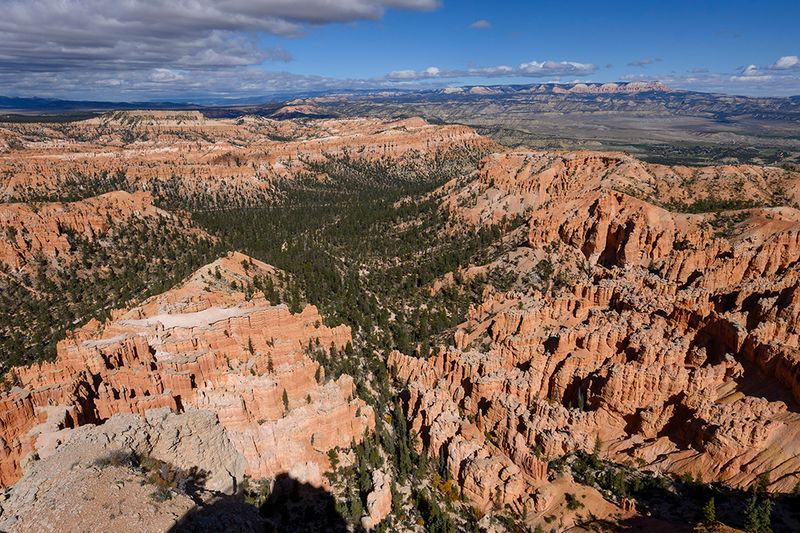 Bryce Pt Overlook