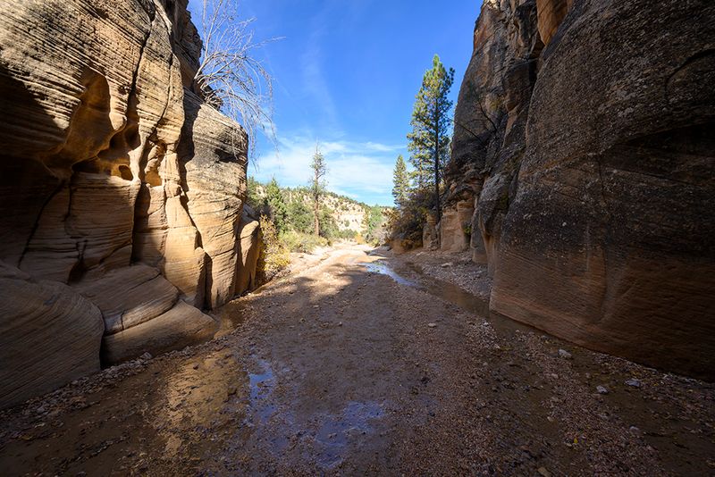 Willis Creek Slot Canyon