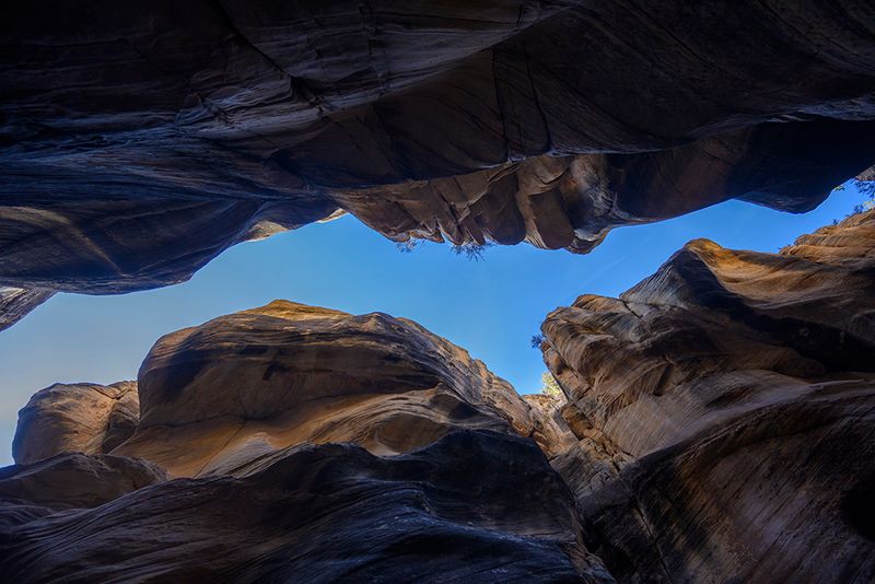 Looking up