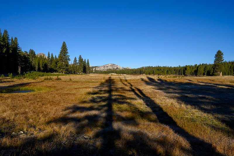 Tuolumne Meadows