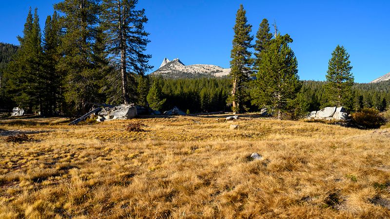 Cathedral Peak