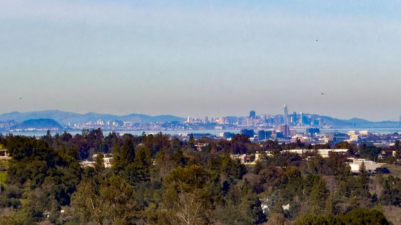 San Francisco Skyline