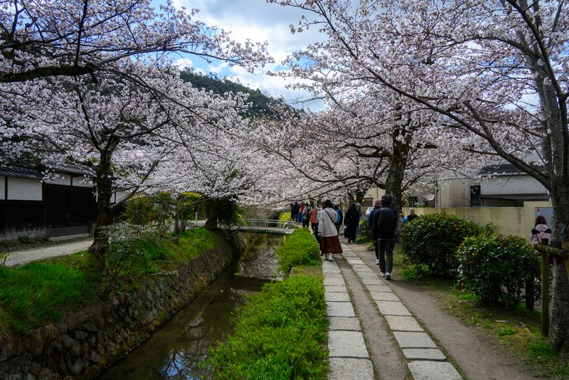 The Philosophers Walk