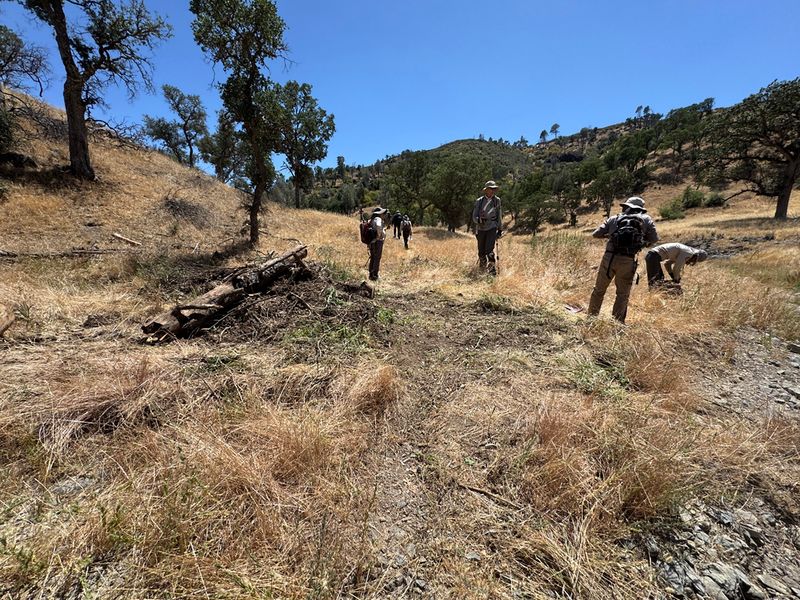 Clearing the trail