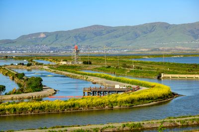 The Baylands at Spring