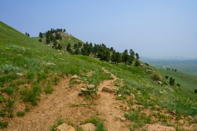 Hogback Ridge Trail