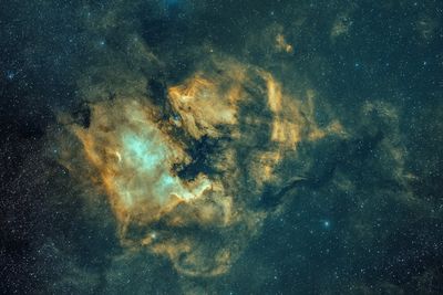North American Nebula (NGC 7000), Cygnus