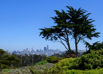 San Francisco Skyline