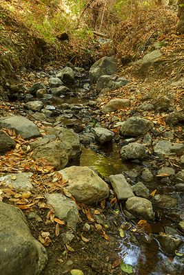 Randol Creek