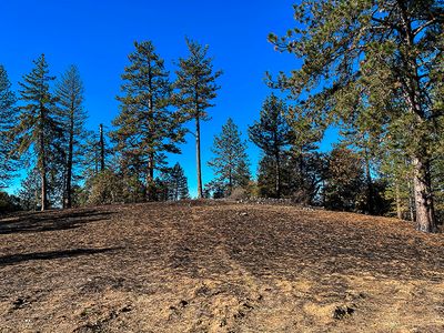 Blackened terrain