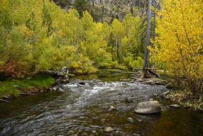 Rush Creek - Susu Peak area