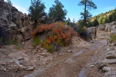 Willis Creek Slot Canyon