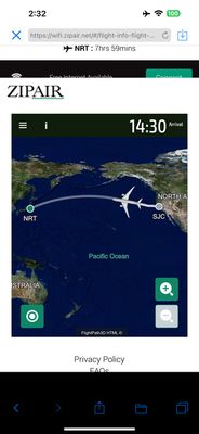 Monitoring the flight