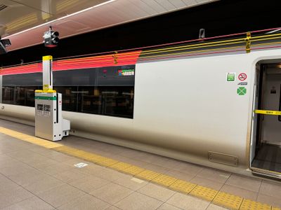 Narita Express Train