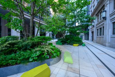 City Greenery