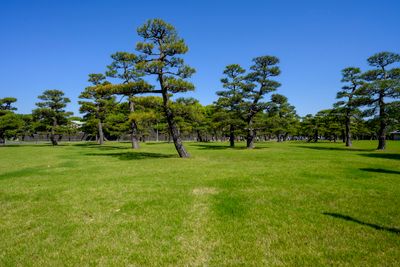 Imperial Palace Garden
