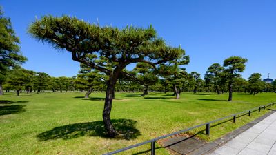 Imperial Palace Garden