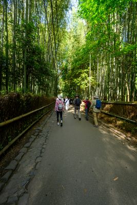 Arashiyama Bamboo Forest