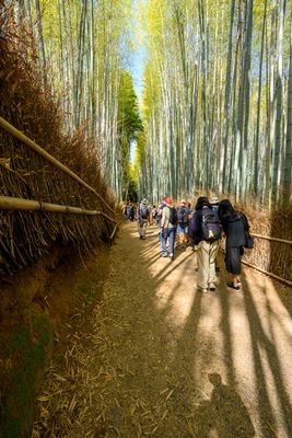 Arashiyama Bamboo Forest