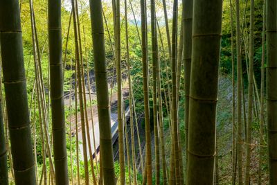 Arashiyama Train Station