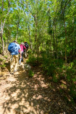 Hiking the trail for a view