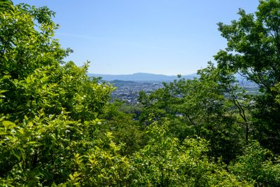 View of Kyoto