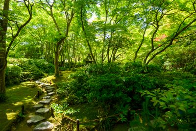 Okochi Sanso Garden