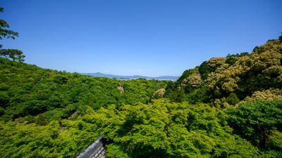 Daihikaku Senkoji Temple View