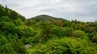 Kiyomizu-dera Temple