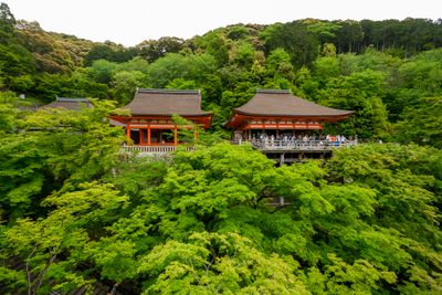 Kiyomizu-dera Temple