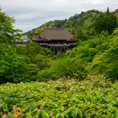 Kiyomizu-dera Temple