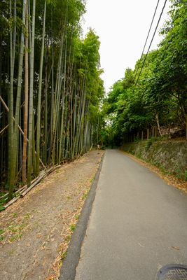 Walking back