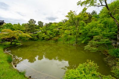 Kodaiji Temple
