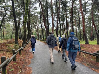 Matsubara Park