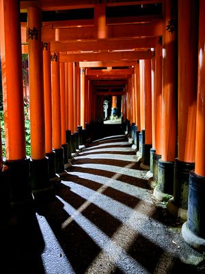 Torii gates